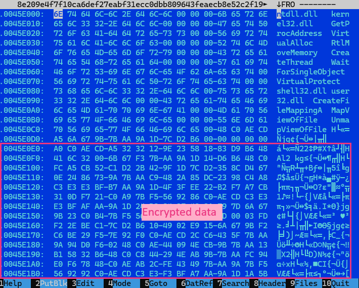 fog-ransomware-concealed-within-binary-loaders-linking-themselve گروه والنربایت vulnerbyte