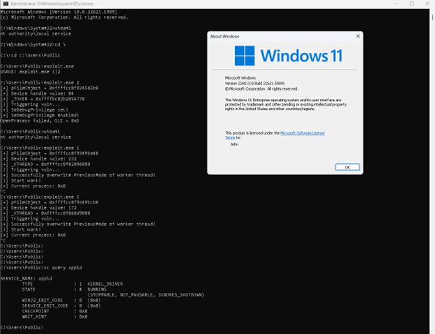 آسیب پذیری ویندوز کرنل