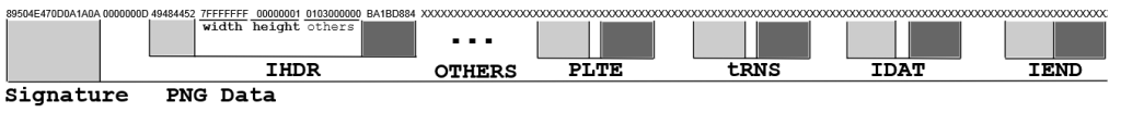 فازینگ -فازینگ جعبه ‌سفید - Fuzzing- Whitebox Fuzzing- والنرلب - vulnerlab
