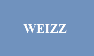 Fuzzing, binary testing, chunk-based formats, structural mutations - فازینگ، تست دودویی، فرمت‌های مبتنی بر چانک، جهش‌های ساختاری